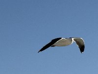 IMG 6589