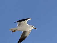 IMG 6604(1)
