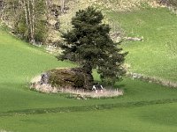 IMG 6681