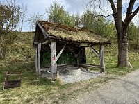 IMG 6706