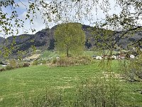 IMG 6730