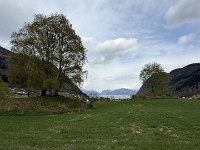 IMG 6737