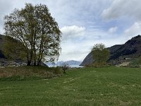 IMG 6740