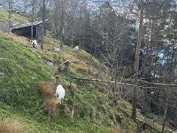 IMG 6885