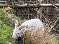 IMG 6888