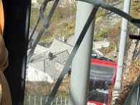 IMG 6901