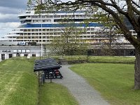 IMG 6953