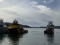 IMG 7005
