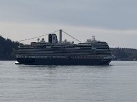 IMG 7006