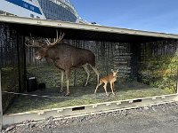 IMG 7073