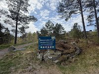 IMG 7100