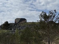 IMG 7103