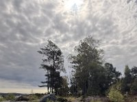 IMG 7104