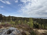 IMG 7105