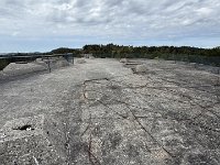 IMG 7235