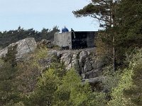 IMG 7247