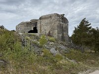 IMG 7264