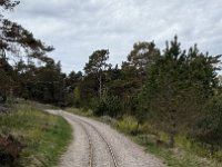 IMG 7265