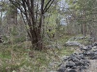 IMG 7273