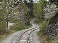 IMG 7286