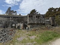 IMG 7304