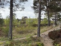 IMG 7357