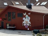 IMG 7393