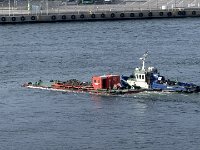 IMG 7431