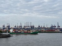 IMG 7556