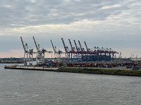 IMG 7564