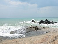 DSC 0770
