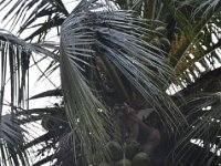 DSC 0803