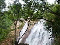 DSC 0900