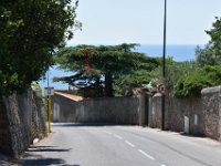 DSC 1754