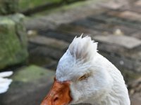 DSC 1978