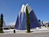 DSC 2530