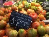 IMG 7059