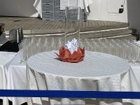 IMG 4452
