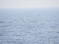 DSC 5036