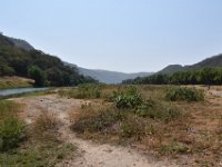 DSC 5441