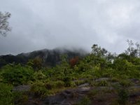 DSC 5847