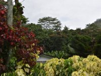 DSC 5863