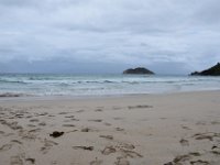 DSC 5878