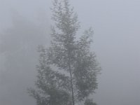 DSC 7076