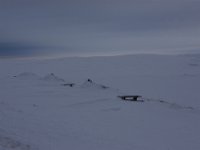 DSC 5185