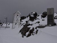 DSC 5519