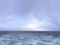 IMG 8841